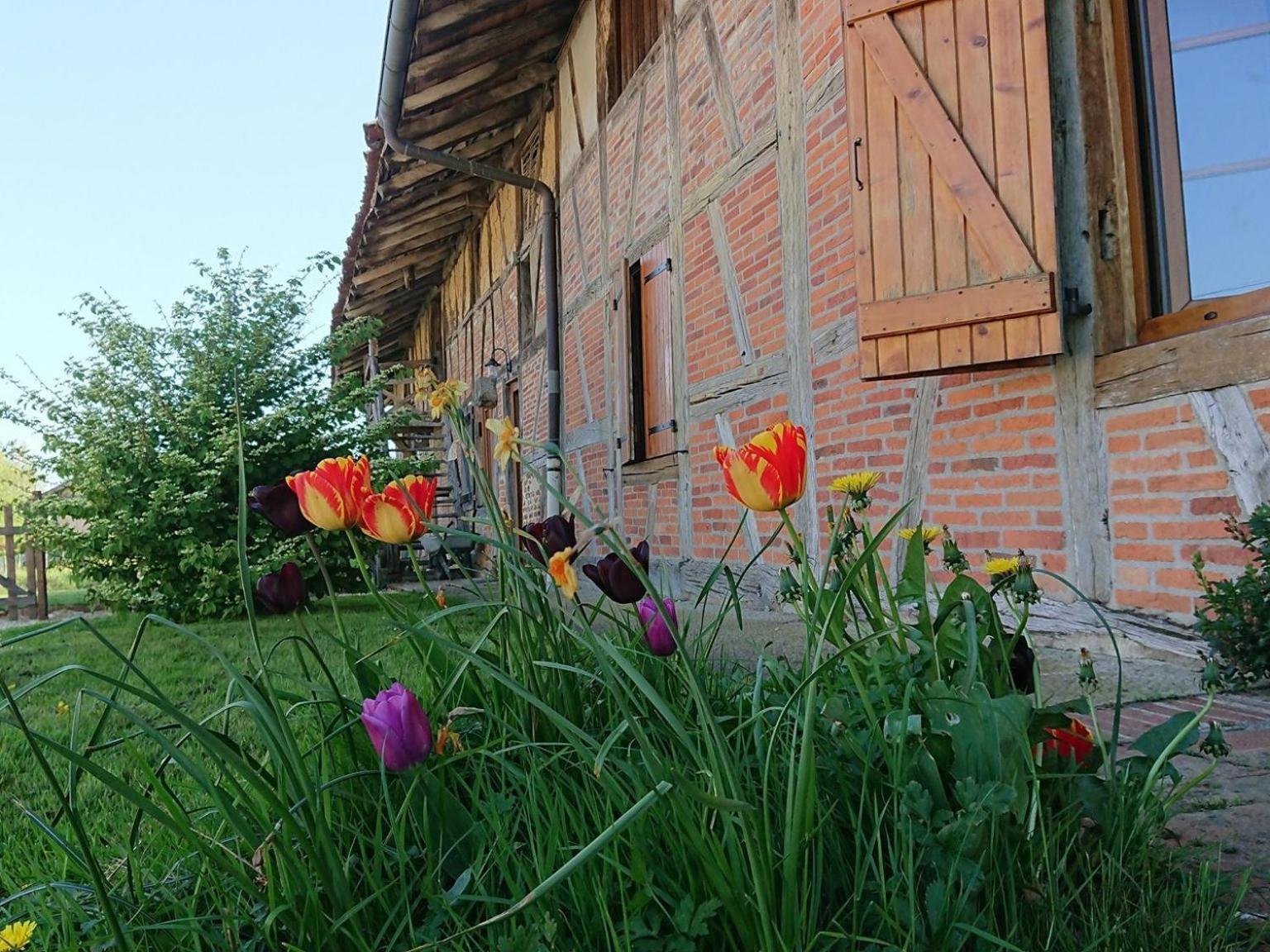 A La Poularde B&B Curciat-Dongalon Экстерьер фото