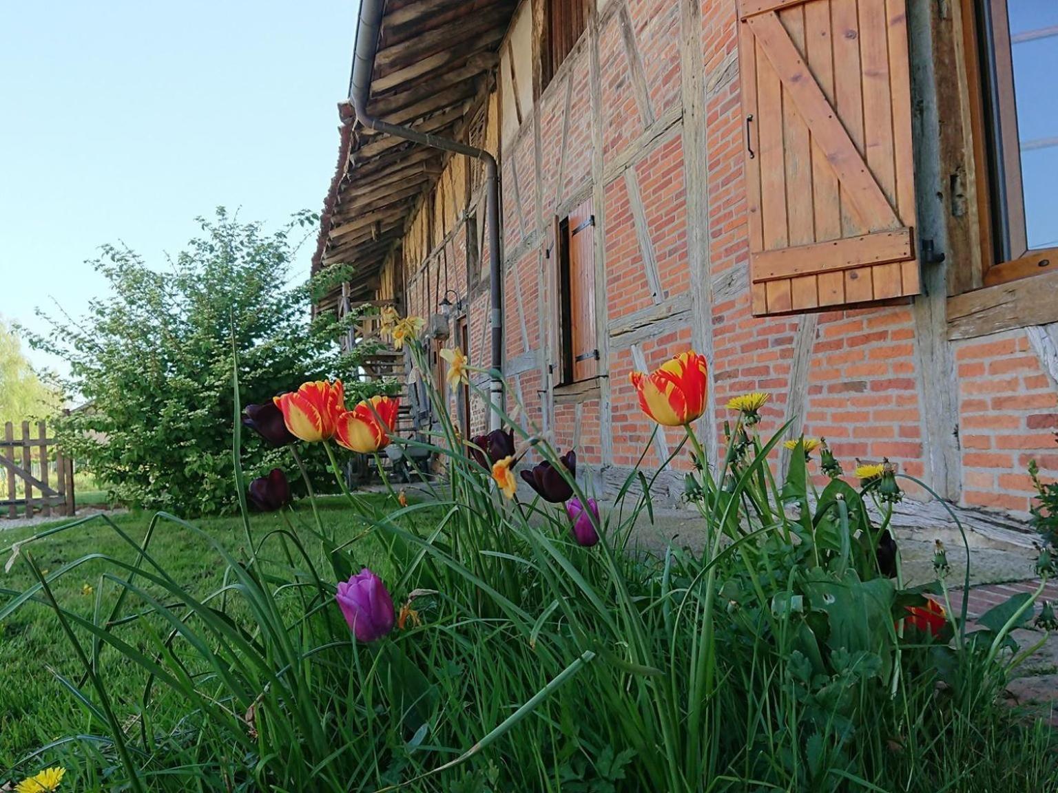 A La Poularde B&B Curciat-Dongalon Номер фото