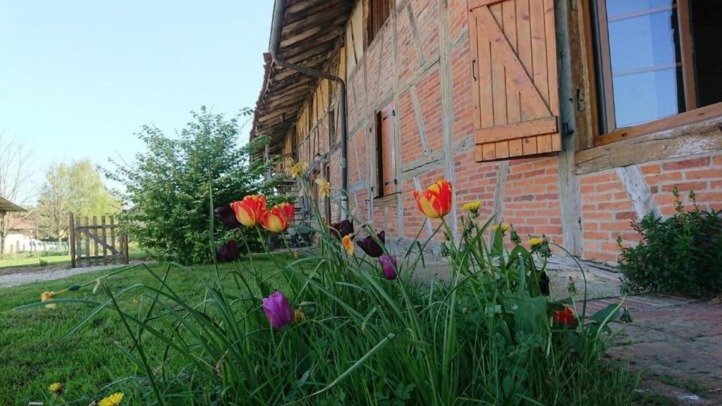 A La Poularde B&B Curciat-Dongalon Номер фото
